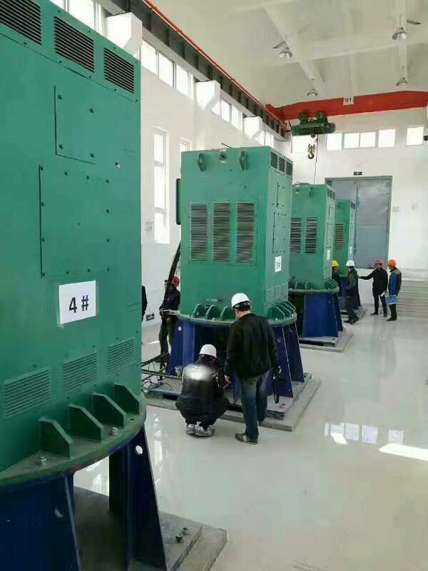 安仁某污水处理厂使用我厂的立式高压电机安装现场现货销售