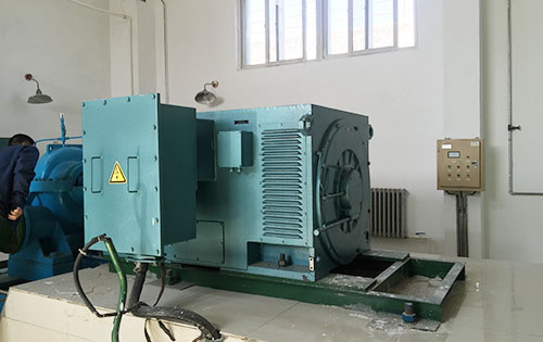 安仁某水电站工程主水泵使用我公司高压电机生产厂家